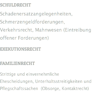 SCHULDRECHT Schadenersatzangelegenheiten, Schmerzengeldforderungen, Verkehrsrecht, Mahnwesen (Eintreibung offener Forderungen) EXEKUTIONSRECHT FAMILIENRECHT Strittige und einvernehmliche Ehescheidungen, Unterhaltsstreitigkeiten und Pflegschaftssachen (Obsorge, Kontaktrecht) 